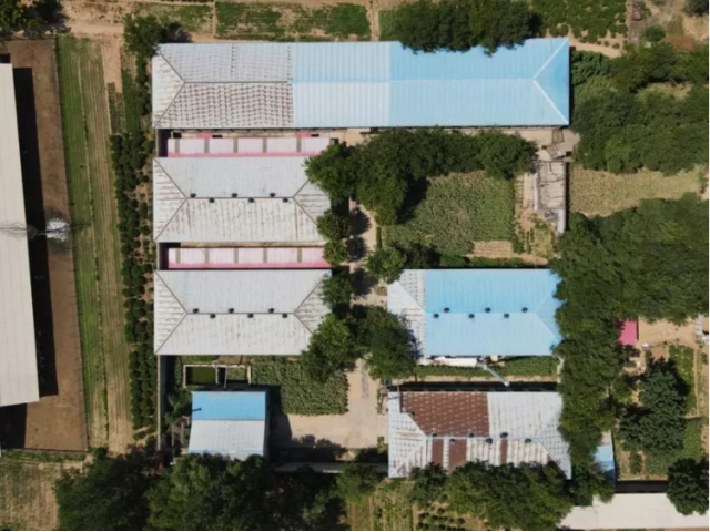 标的：河北邢台塑胶制品厂