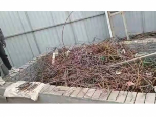 标的：废钢筋一批